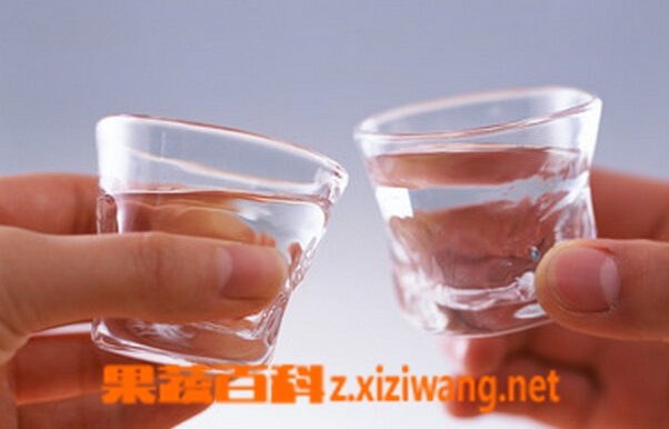 果蔬百科喝酒的危害有哪些