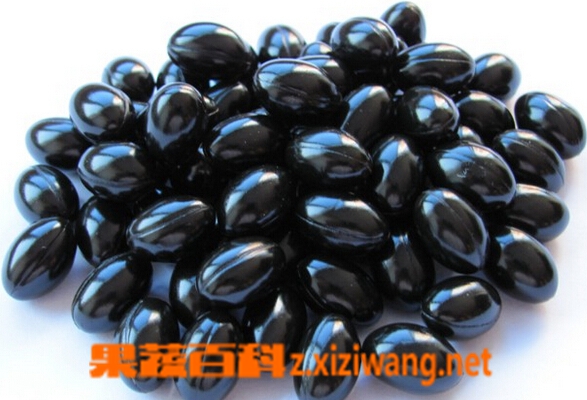 果蔬百科蜂胶怎么吃好