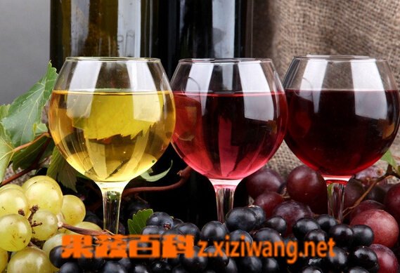 果蔬百科喝红酒的好处与坏处