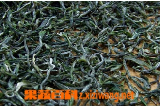 毛峰的功效与作用 喝毛峰的好处