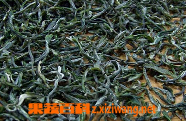 果蔬百科毛峰的功效与作用