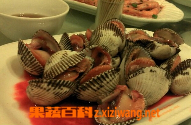果蔬百科血蚶的功效与作用