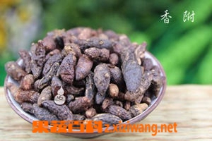 果蔬百科香附图片 香附的功效与作用