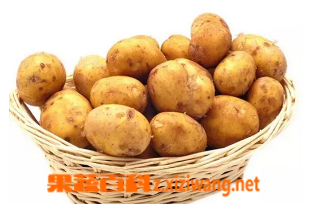 果蔬百科土豆皮的功效与作用