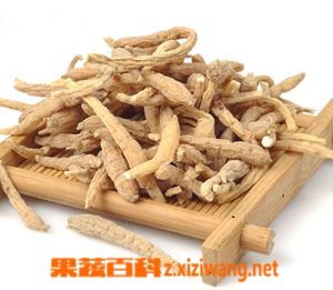 果蔬百科太子参图片 太子参的功效与作用