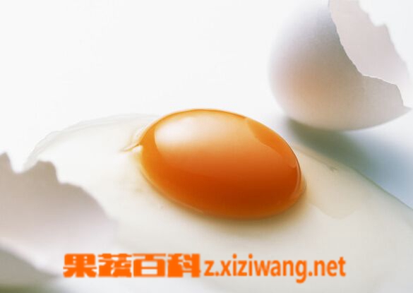 果蔬百科如何判断鸡蛋变质