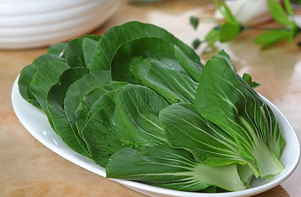 果蔬百科油菜的功效与作用