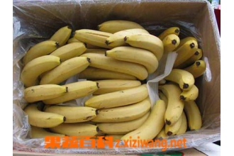 怎么识别香蕉是药催熟的