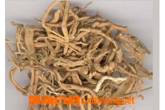 远志图片 中药远志的功效与作用