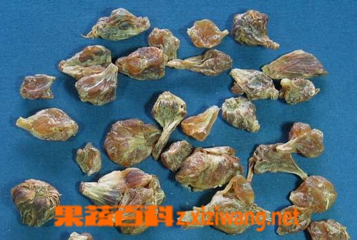 果蔬百科薤白图片 薤白的功效与作用