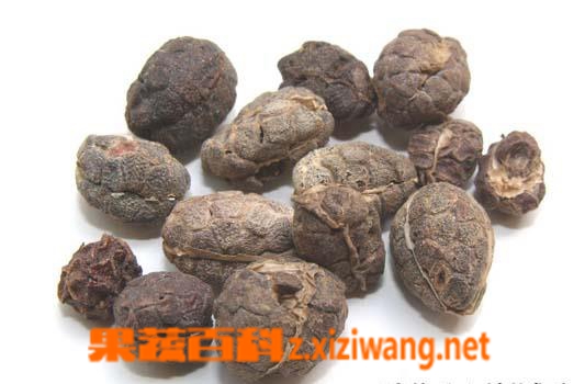 果蔬百科砂仁图片 砂仁的功效与作用