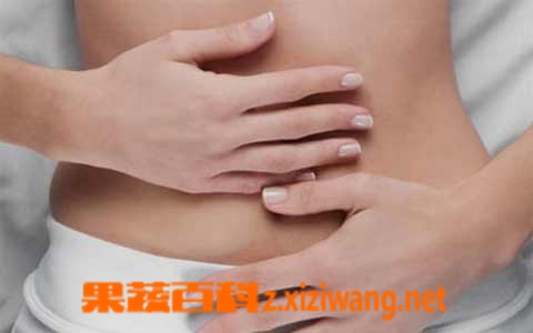 果蔬百科脾胃不好吃什么调理