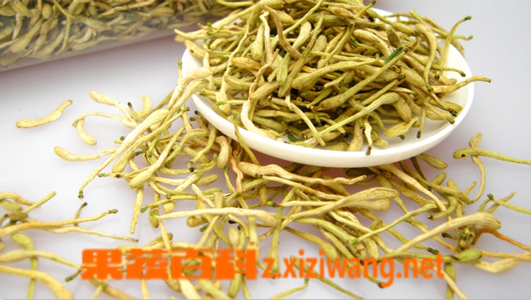果蔬百科金银花有副作用吗 金银花有什么副作用