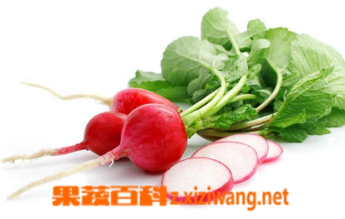 果蔬百科红色的萝卜怎么吃