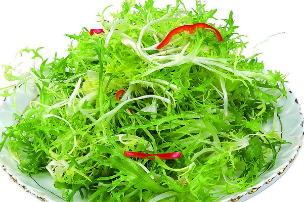果蔬百科苦菊的功效与作用