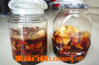 果蔬百科自制酵素怎么存放