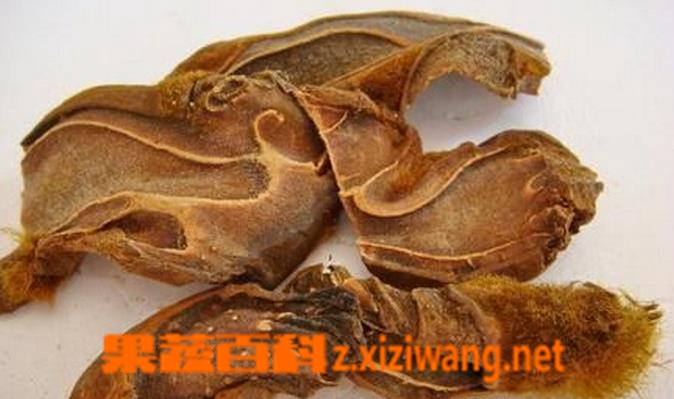 果蔬百科狗脊的功效与作用