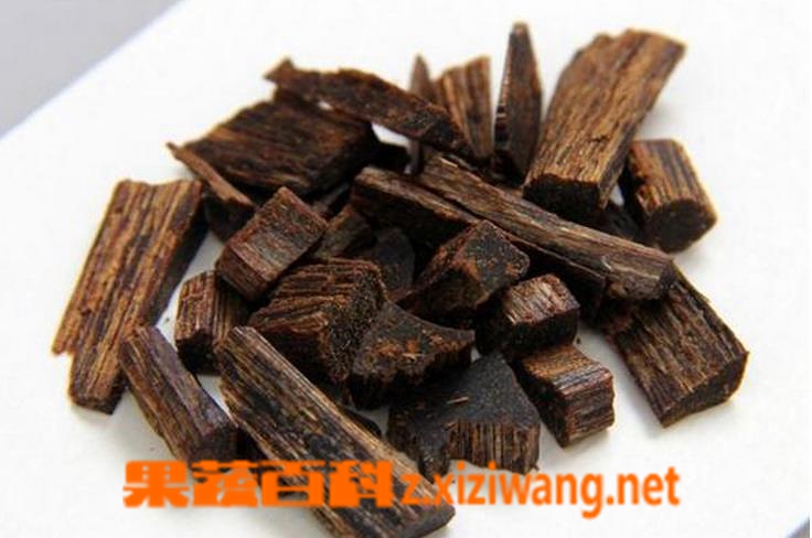 果蔬百科伽楠香的功效作用和食用方法