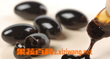 果蔬百科吃蜂胶的功效与作用