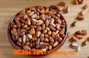 果蔬百科松子仁的功效与作用 松子仁怎么吃