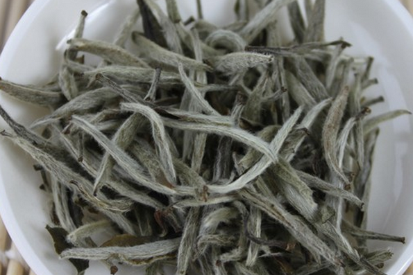 果蔬百科白茶的功效作用与禁忌