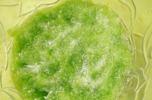 果蔬百科上火牙痛怎么办