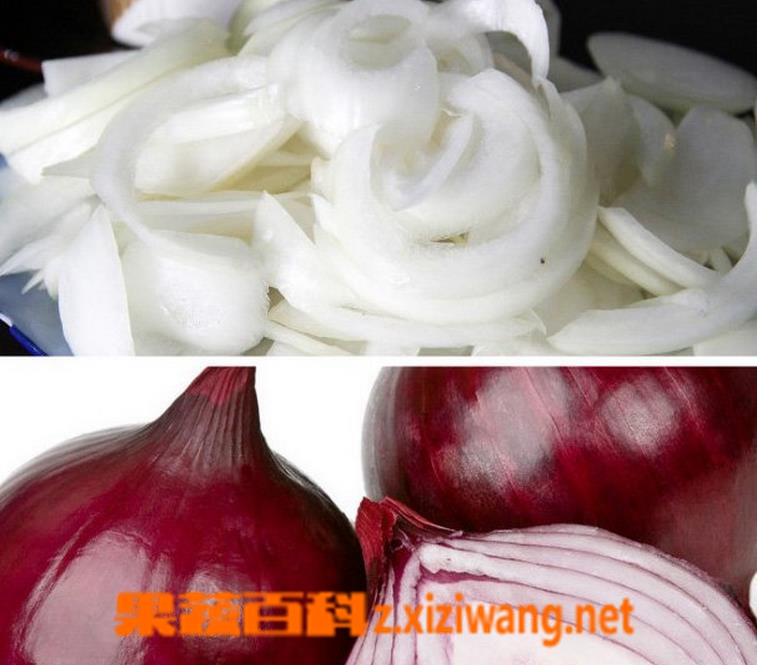 果蔬百科洋葱生吃和熟吃的区别