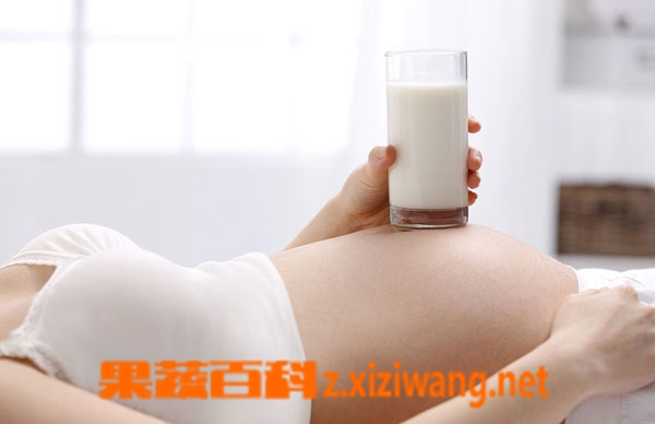 果蔬百科孕妇喝牛奶的好处有哪些