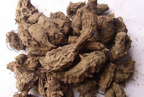 果蔬百科草乌头的功效与作用