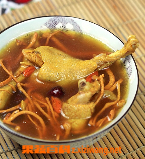 果蔬百科虫草花煲汤怎么做 虫草花煲汤的做法