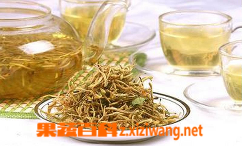 果蔬百科金银花根功效与作用