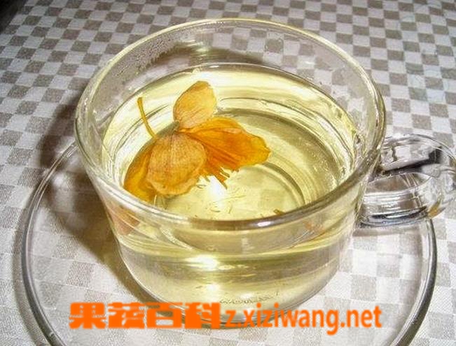 果蔬百科金银花露功效与作用