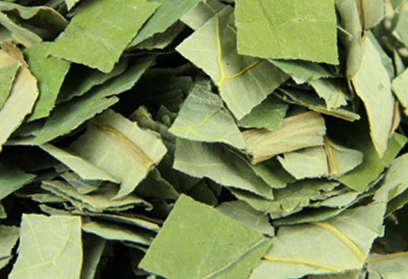 果蔬百科新鲜荷叶茶怎么制作