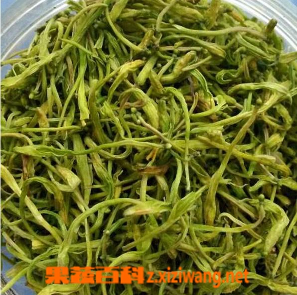果蔬百科新鲜金银花的食用方法