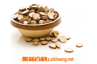 炙甘草的功效与作用