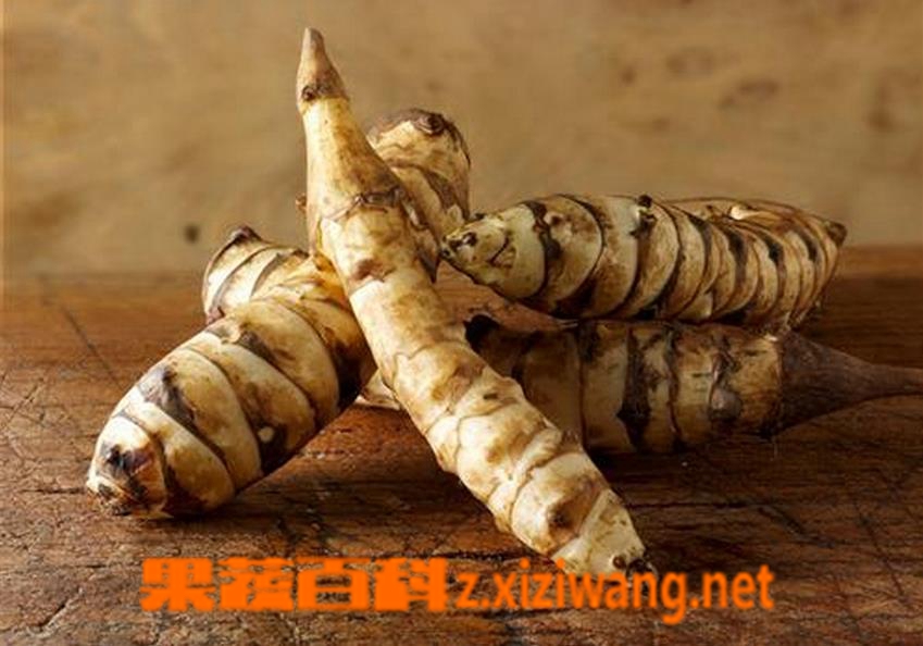 果蔬百科洋姜的功效与作用