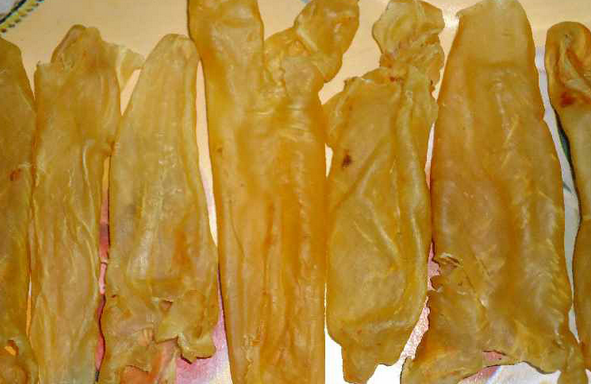 果蔬百科鱼胶是什么