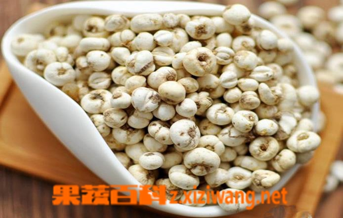 果蔬百科贝母的功效与作用