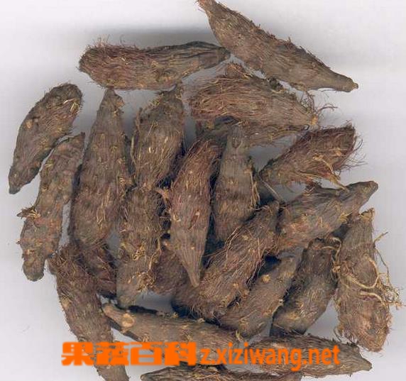 果蔬百科香附的功效与作用