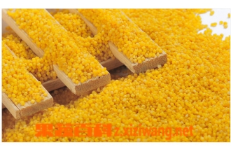 黄小米的功效与作用 黄小米的食用方法
