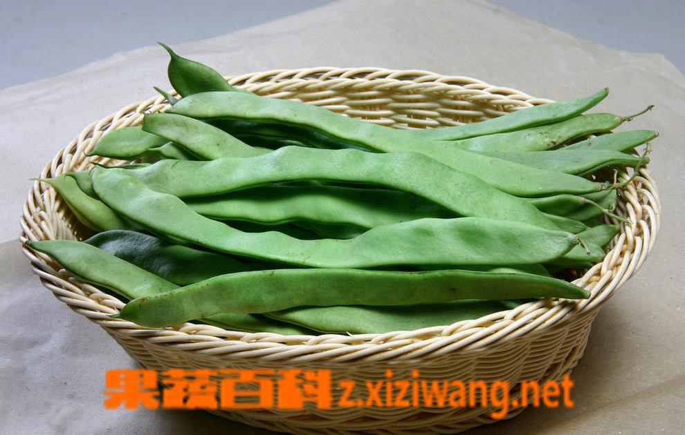 果蔬百科芸豆的做法大全 芸豆怎么做