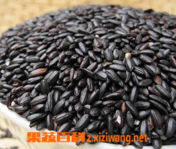果蔬百科黑米的功效与作用 黑米怎么吃