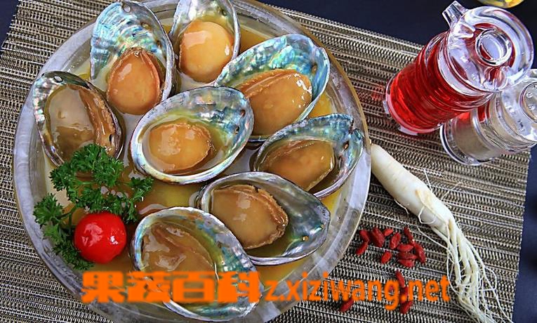 果蔬百科河蚌怎么吃 河蚌的做法大全