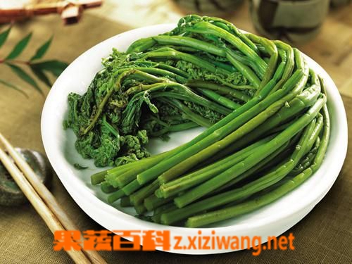 果蔬百科蕨菜的功效与作用