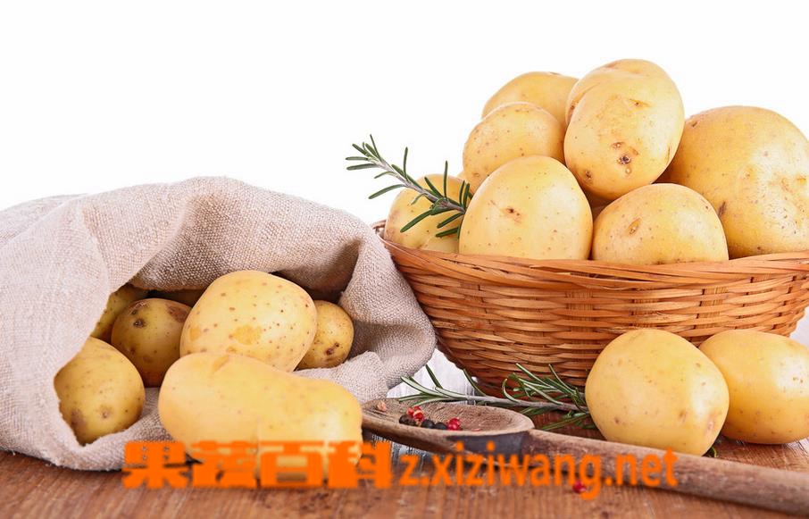 果蔬百科土豆的功效与作用及土豆的吃法