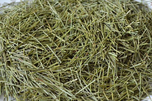 果蔬百科全松茶的功效与作用