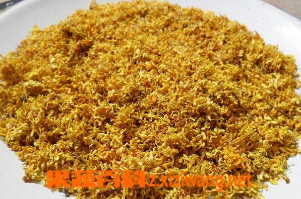 果蔬百科桂花的功效与作用
