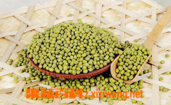 果蔬百科绿豆怎么吃 绿豆的营养价值有哪些