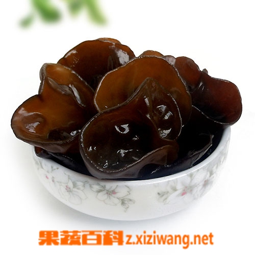 果蔬百科黑木耳的功效与作用
