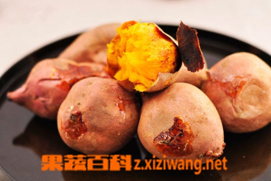 果蔬百科吃红薯会发胖吗 吃红薯的好处